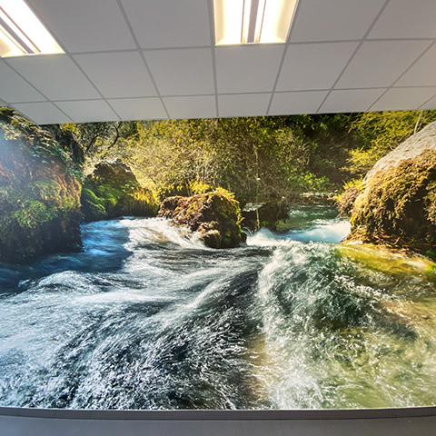 portfolio local_professionnel